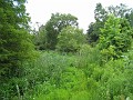 Matthaei Botanical Gardens 2010 0390